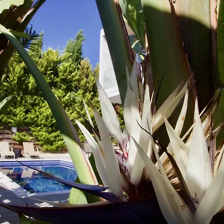 Βίλα Paphos4u Coral Bay, 3br, Beach 500m, Heated Pool Optional, Central Heating *